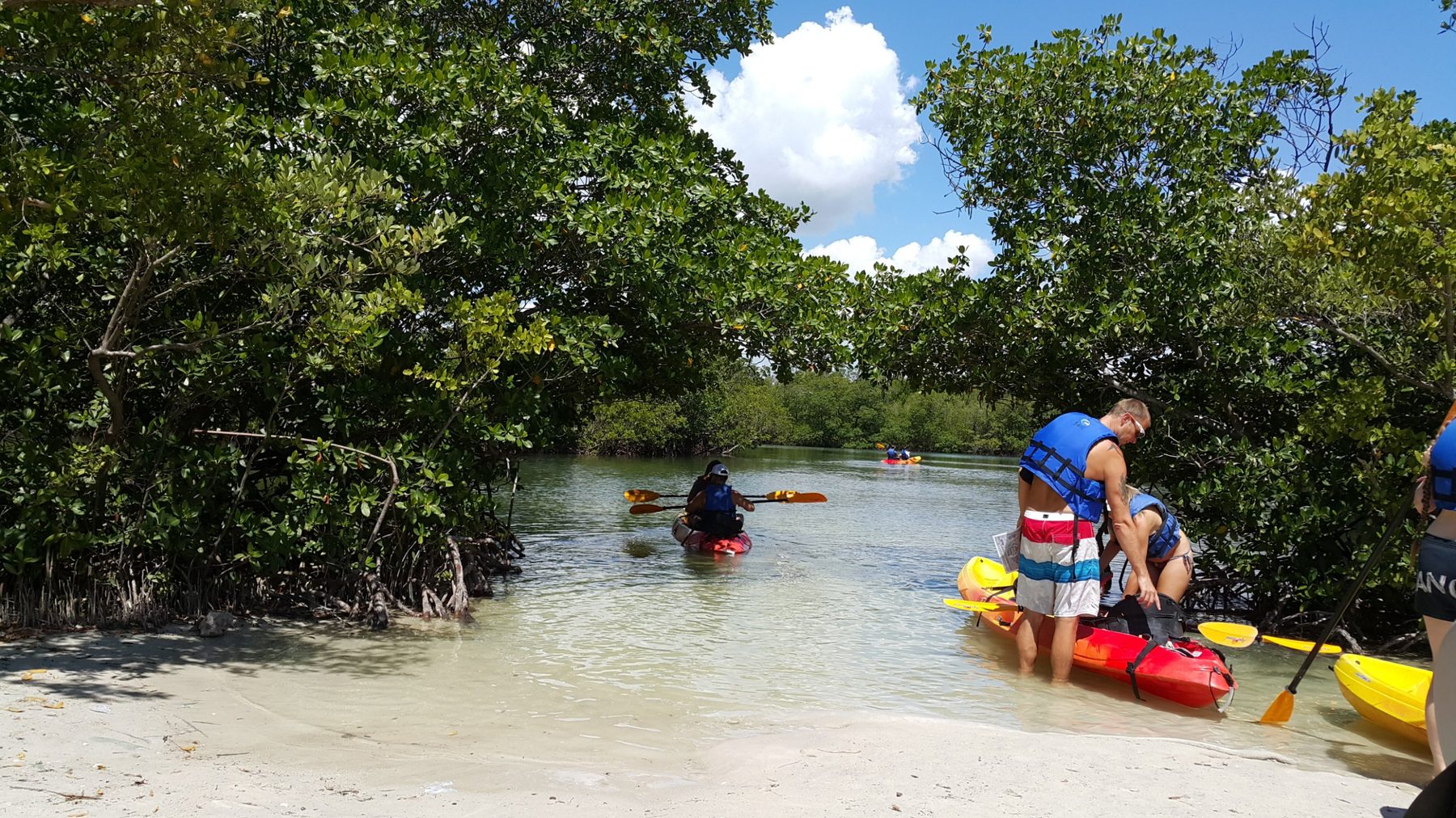 Kayaks through mangroves in calm water near Miami